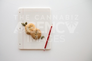 Back to School Chocolate Chip Cookies and Cannabis Buds on a Binder Paper Plate with a Red Pencil - The Cannabiz Agency