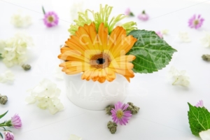 Bright Orange Gerbera Daisy Floral Arrangement in Ceramic Dish with Words Baked with Cannabis Buds and Marijuana Nug - The Cannabiz Agency