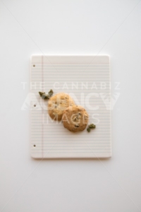 Chocolate Chip Cookies and Marijuana Buds on a Binder Paper Plate - The Cannabiz Agency