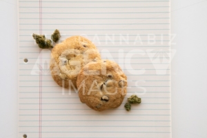 Close Up on Chocolate Chip Cookies and Marijuana Buds on a Binder Paper Plate - The Cannabiz Agency