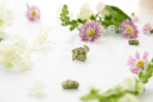 Close Up on Marijuana Nug with Pretty Floral Background Flower Buds – Cannabis - The Cannabiz Agency