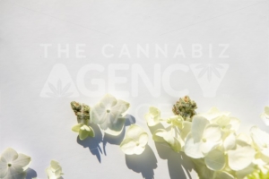 Close up on White Hydrangea Flowers with Cannabis Bud – Cannabis Wedding - The Cannabiz Agency