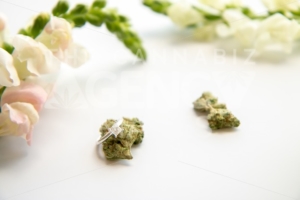 Diamond Engagement Ring on Marijuana Bud White Floral Cannabis Flowers – Cannabis Wedding - The Cannabiz Agency