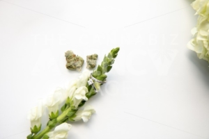 Diamond Wedding and Engagement Ring on White Flower with Marijuana Buds Top Down – Cannabis Wedding - The Cannabiz Agency