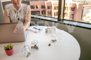 Female Cannabis Entrepreneur working on Marketing for Marijuana Business in Bright, Soft Lit Office - The Cannabiz Agency
