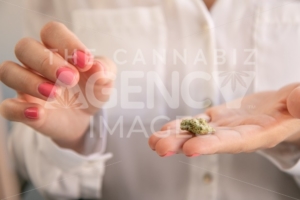 Female Hands With Pink Nail Polish Holding a Marijuana Bud. Cannabis Marketing. - The Cannabiz Agency