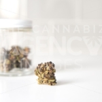 Glass Jar of Flowers on White Counter – Close Up - Cannabis Royalty Free Stock Images