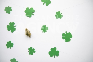 Marijuana Bud against Four and Three Leaf Clovers St Patricks St Pattys Day – Top Down, Left Aligned View - The Cannabiz Agency