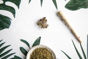 Marijuana Bud and Slanted Joint Sit on Tropical Foliage Background – Minimalist Cannabis - The Cannabiz Agency