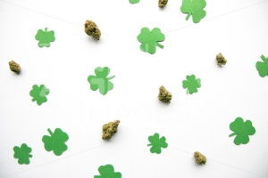 Marijuana Buds against Four and Three Leaf Clovers St Patricks St Pattys Day – Top Down, Left Aligned View - The Cannabiz Agency