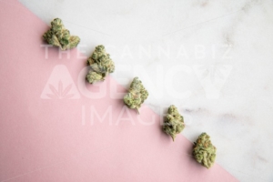 Marijuana Buds sit diagonally on Pink and White Marble Background Minimalist Cannabis - The Cannabiz Agency