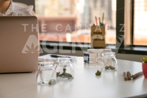 Marketing for Marijuana Business setting in a Bright, Soft Lit Office. - The Cannabiz Agency