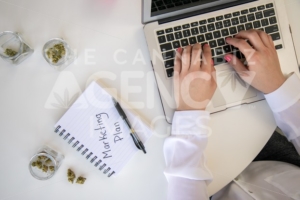 Top Down View of Cannabis Entrepreneur working on Marketing for Marijuana Business on White Table Work Space - The Cannabiz Agency