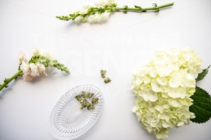 White Floral Cannabis Flowers With Marijuana Buds Top Down – Cannabis Wedding - The Cannabiz Agency