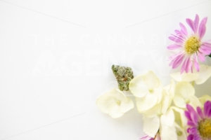 White Hydrangea and Purple Daisy Cannabis Floral Bouquet with Bud for Marijuana Product Background Frame – Top Down Right Close up - The Cannabiz Agency