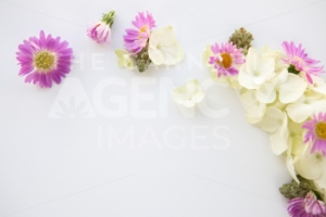 White Hydrangea and Purple Daisy Cannabis Floral Bouquet with Marijuana Bud – Top Down Right - The Cannabiz Agency