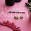 Festival Herbal Remedy on Pink with Red Necklace and Sunglasses – Angled - Cannabis Royalty Free Stock Images