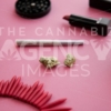 Festival Herbal Remedy on Pink with Red Necklace and Sunglasses – Portrait - Cannabis Royalty Free Stock Images