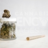 TCA Images positive marijuana lifestyle photos
